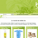 Portrait de Mompreneur: Annie Fischer, « Bbio »