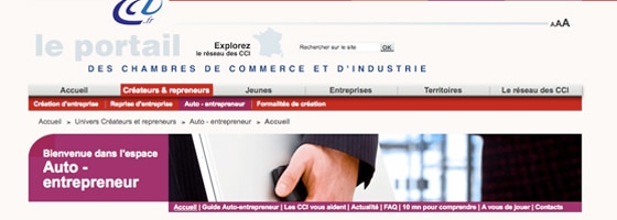 devenir-auto-entrepreneur-auto-entrepreneur-cci-fr
