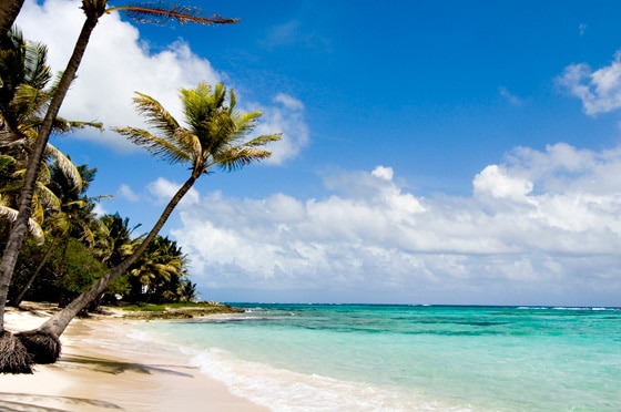 emarketinglicious-vacances-aout