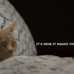 Les Chats Prennent le Pouvoir Chez Ikea – Vidéo