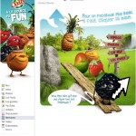 Classement Des Pages Facebook De Marques Ayant Le Plus De Fans En France – Fév 2011