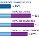 [Etude 2011] Quelle Est L’activité E-commerce Des TPE-PME ?