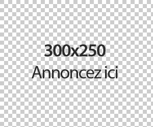 pave-rectangle-300-250-pixels