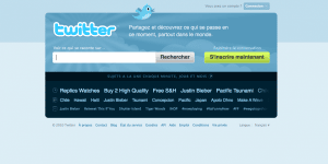 Twitter microblogging