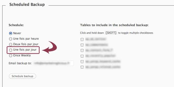 wordpress-wp-db-backup-sauvegarde-automatique