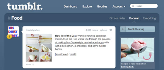 tumblr-on-our-radar-popular-everything