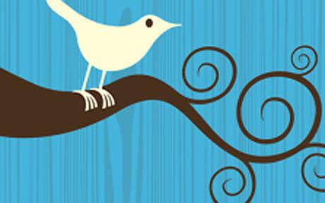 Statistiques-twitter-2011