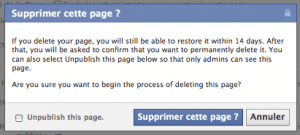 suppression-pages-facebook-depublier