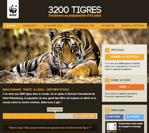 create-responsive-design-wwf create-responsive-design-wwf
