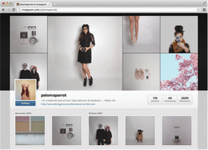 instagram-profils-web-1