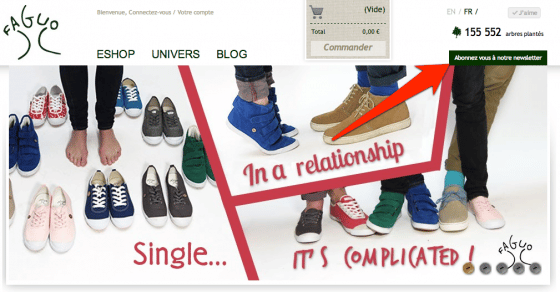 faguo-newsletter