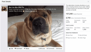 details-publication-facebook-insights