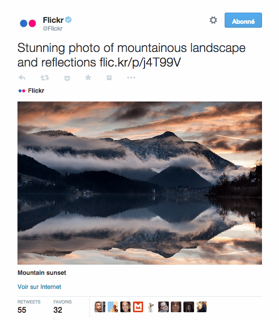carte Twitter photo