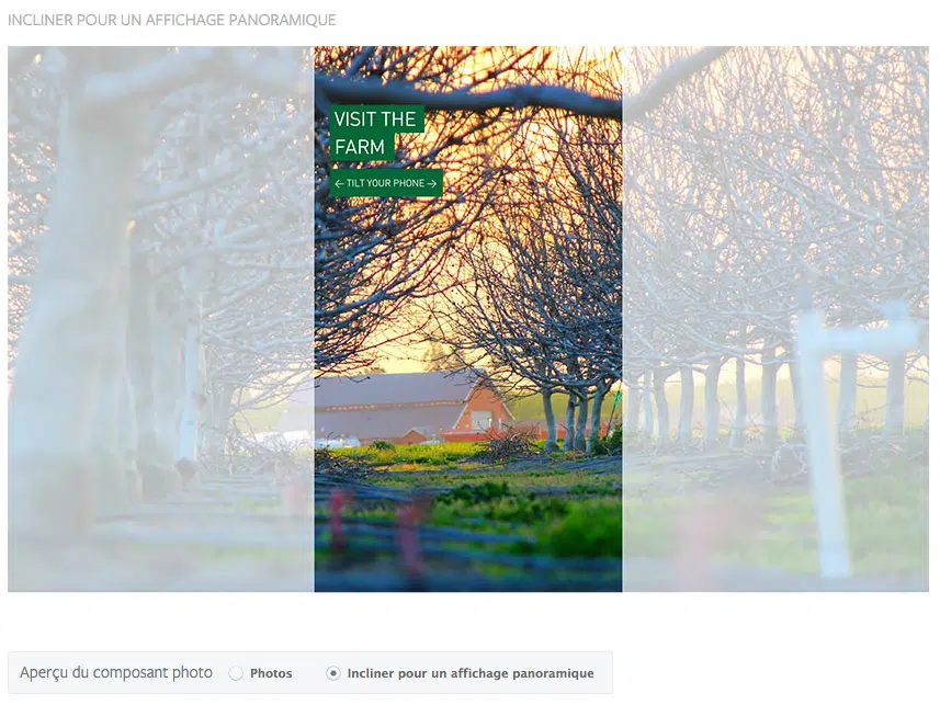 annonce-facebook-canevas-photo-panorama