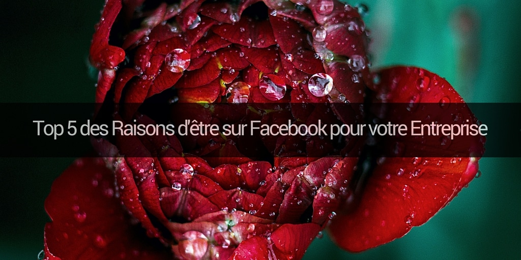 facebook-entreprises-pros