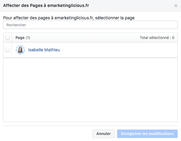 associer page facebook domaine verifie