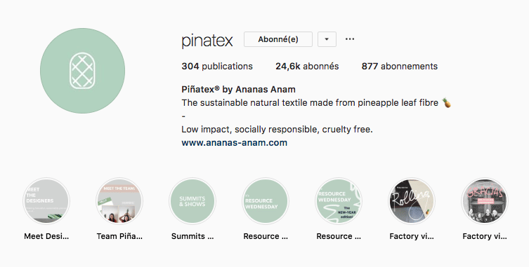 pinatex Instagram Stories Highlights a la une